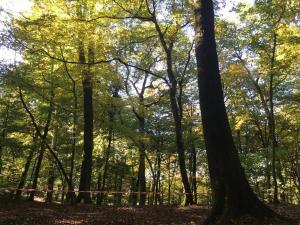 22494756 10213489346285955 1298106736 o