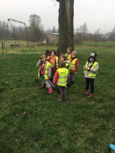 27292951 1668017646591619 1769193883 n