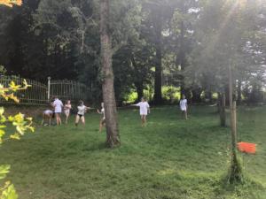 282e0389-ab2c-4bc9-8e79-7f3e14e15981