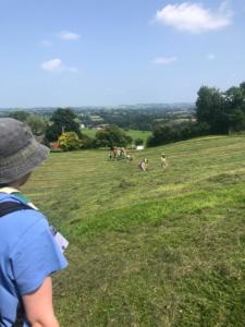 754227cb-46bc-433a-8270-cebbef79d912