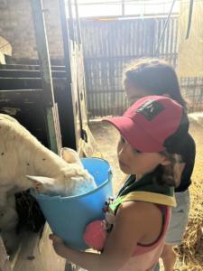 096d2610-6f03-4f13-9a94-9a77d6485111 resultat