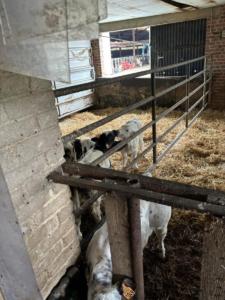 0da9476c-39fb-4027-8117-ab7ef20c3fdb resultat