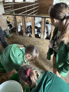 2d3de5b5-621b-42ee-8df7-6ef66764a3d2 resultat