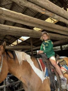 2e8364a1-0a25-4767-9088-8efbc1b1850a resultat