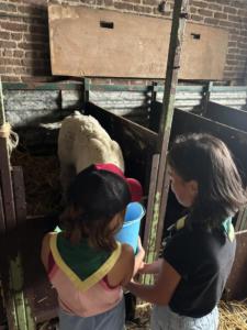 3034fc59-9d7e-4d37-a56a-4292d84d963f resultat