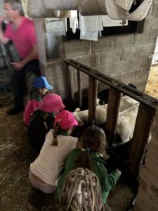 319927d0-6e04-4eb0-89c1-50ce6876f149 resultat