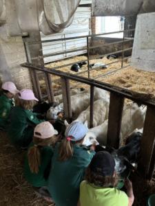 34aa7c3e-487f-4600-943b-ff5f946621eb resultat