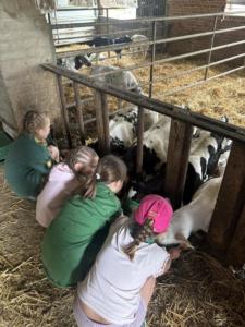 3b103d23-41c5-4b10-8df8-605889eb1980 resultat