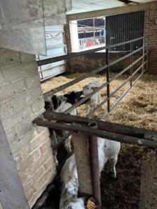 40895f7f-668e-4dbc-976c-e239cc2dda4a resultat