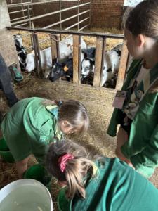 47e038a9-c1e7-4963-a1ff-e0e28f3e009b resultat