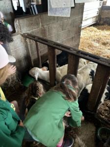 581d3375-8055-4732-962f-dbccf33d1e7c resultat