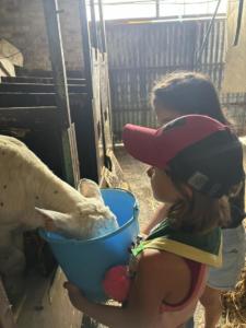 5ca492fe-0f09-4373-9ff8-324d0c2ac450 resultat