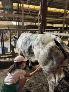 5f03c209-1034-4e8b-b0c2-6acc1abb39ab resultat