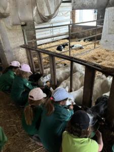 64c9dbd8-fddd-4e90-aba0-8afecf4b7125 resultat