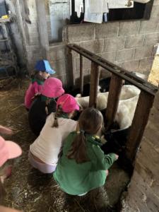 70b376b7-2778-4f2a-9d87-50986fb3d5c4 resultat