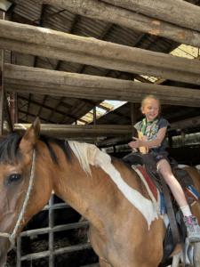 76fd6588-e3c8-4bbd-8ded-02dc664babb3 resultat