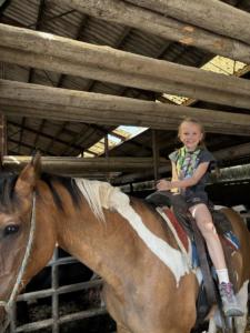 8749046a-7898-434b-b550-311f04215655 resultat