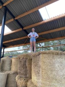 8cb3281d-7bb6-4c05-b738-6eb5d20c0211 resultat