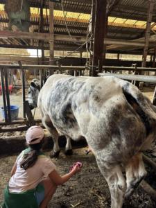 99812449-d1e8-41d9-ae52-d332126c0ced resultat