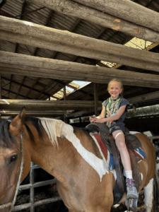 9d1c138d-ef6e-462a-90c8-d33a6327f5f1 resultat