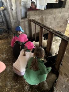 a31d08e9-3b47-4137-b4db-af92a6e6a73b resultat