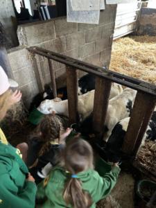 d249fb0e-0acb-4ad3-8a98-4ad3d744a659 (1) resultat