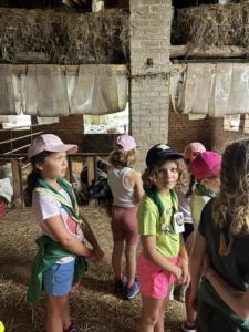 d5c96355-b793-4858-9425-2464ab5c5d14 resultat