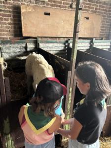 e14a1852-7234-40eb-ad09-09e074dbe6f1 resultat