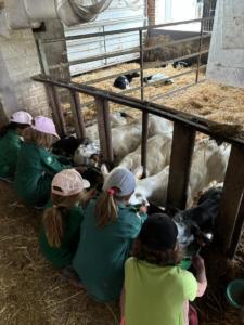 e24eb844-b9b1-4462-b979-4f7fc54d1a73 resultat