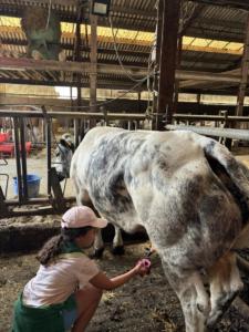 e331012e-ec89-49cf-8330-86313d600f8a resultat