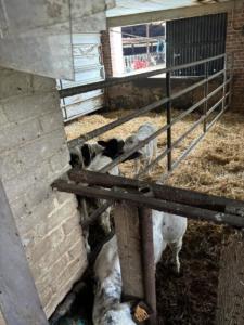 eecd2ee9-ddc6-4265-bb22-de0d1dfe1dcf resultat