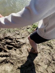 438083413 421698593804102 268764353277901758 n