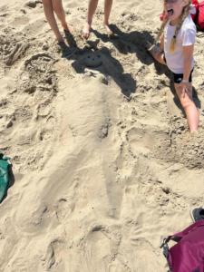 79400efe-0050-451f-8e7b-3b22bb8e362b