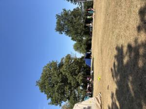IMG 9741