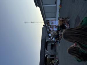 IMG 9765