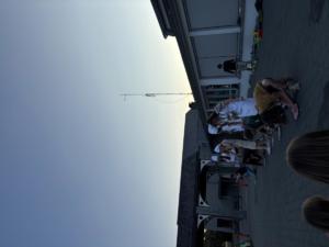 IMG 9767