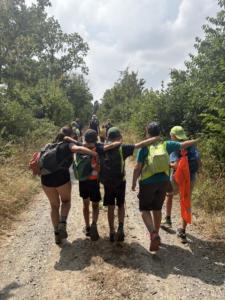 IMG 4773
