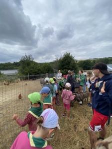 IMG 5161