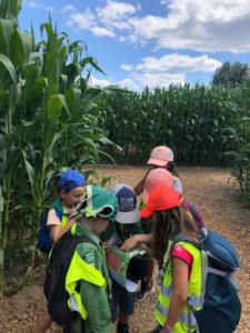 received 1312833436127090