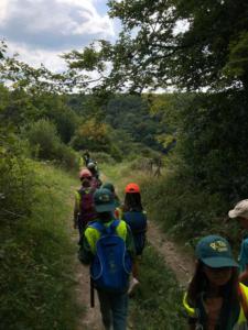 received 2058184094365950