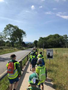 received 5297744916945629