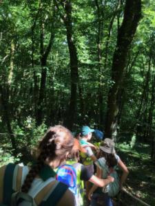 received 727839524962748