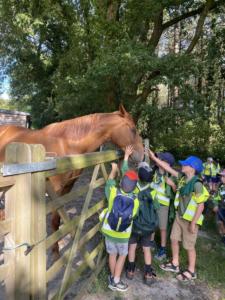 356670911 780808563793964 7267331848946753457 n