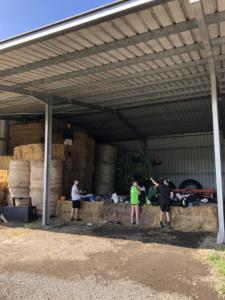 356733637 297360959364168 2012697849291854319 n