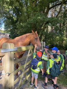 356778511 982933099691282 5494454258462705520 n