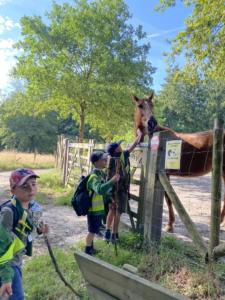 356782730 1614343112391697 6740039155900013873 n