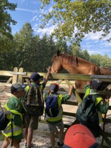 356796040 1363624467845034 696676934304175247 n