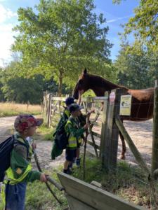 356804947 1291358858434246 8600876317177660920 n