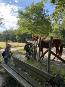 356948151 1018148749376447 7715777163632218560 n