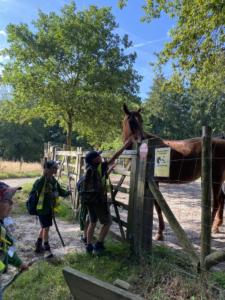 356960214 2494784000690203 6031475803947967521 n